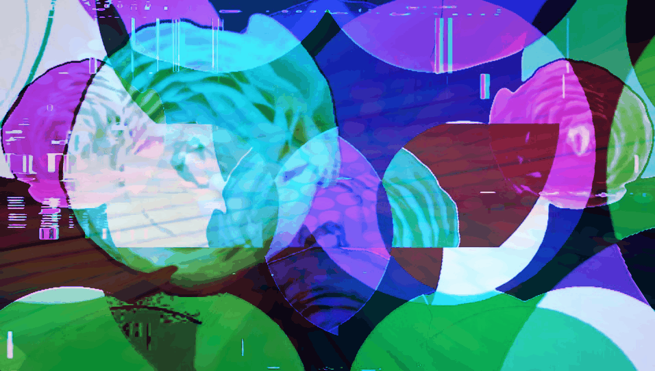 A12385701090442328351