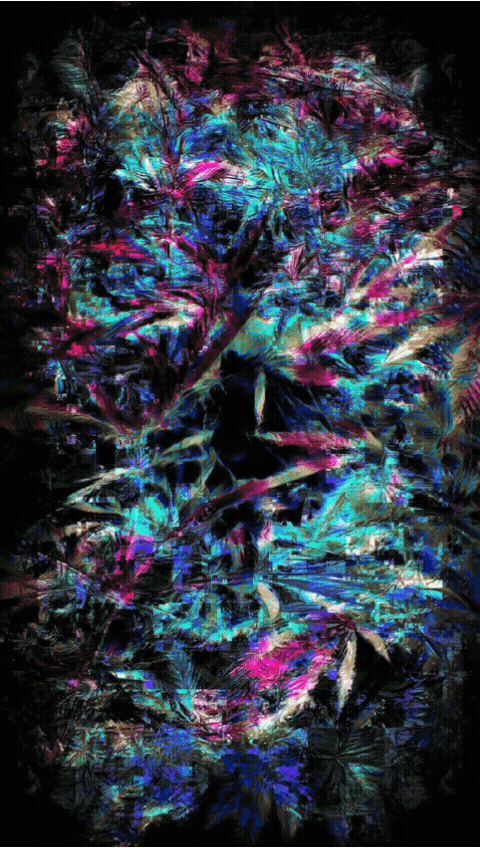 A17516794585838359914