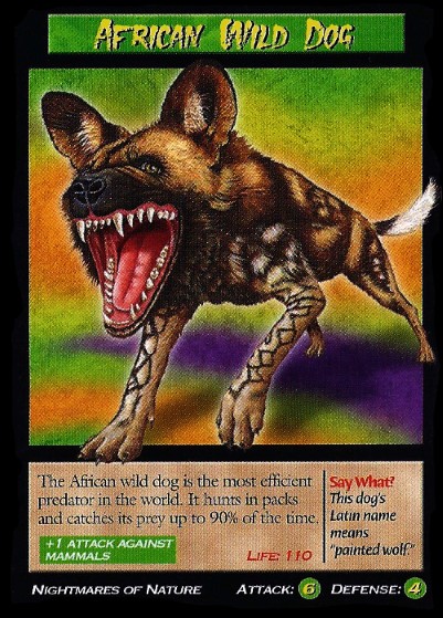 WILDDOG